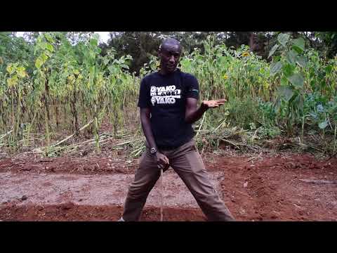 Видео: Посевное ложе: подготовка питомника