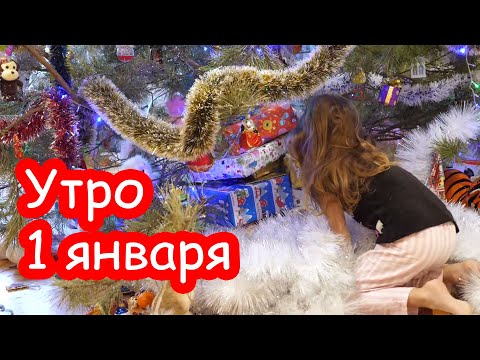 Видео: VLOG Что принёс Дед Мороз под ёлку 1 января