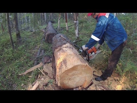 Видео: Заготовка дров