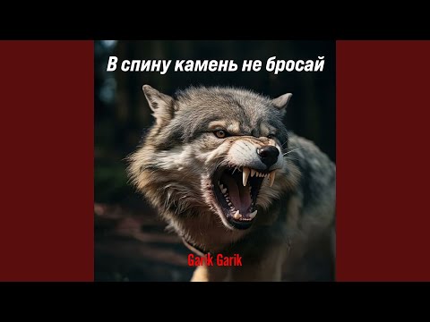 Видео: В спину камень не бросай