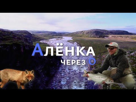 Видео: Алёнка через О |Уникальная река Кольского полустрова|