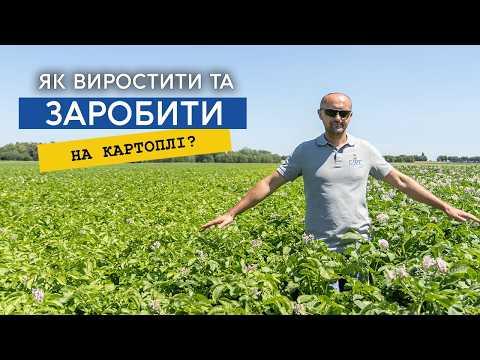 Видео: Як отримати високий врожай та куди продати картоплю?