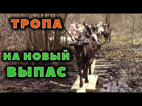 Видео: Сделал дорогу на новый выпас