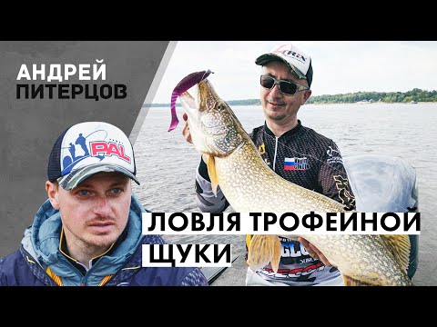 Видео: Ловля трофейной щуки в разгаре лета!