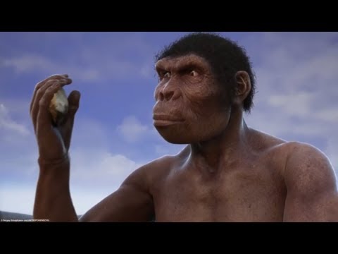 Видео: Эволюция от обезьяны к человеку. От проконсула до Homo heidelbergensis.
