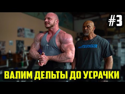 Видео: ЗАДНЯЯ ДЕЛЬТА ПРОРЕЗАЛАСЬ ЗА ОДНУ ТРЕНИРОВКУ (ДЕНЬ 18) ДЕЛЬТЫ ПО ДУХОТЕ - ТРЕНИРОВКА ДЕЛЬТ №3