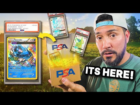 Видео: КАК ОБЩЕСТВЕННАЯ ИНФОРМАЦИЯ МОГЛА СДЕЛАТЬ ТАК СО МНОЙ!? | Возвращение рекламы покемонов