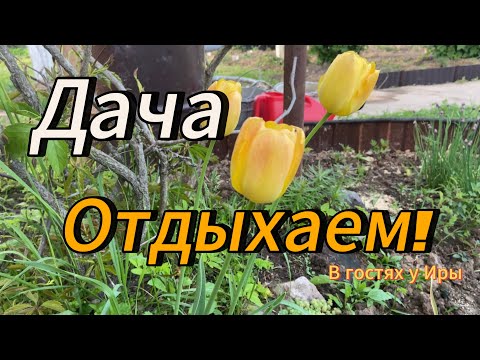 Видео: Дача | Отдыхаем! #13