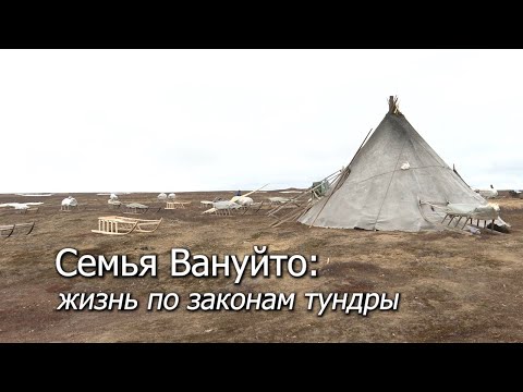 Видео: Специальный репортаж "Семья Вануйто: жизнь по законам тундры"