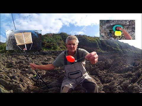 Видео: Береговая рыбалка — ловля окуня на живых креветок и поплавок-бурлящий удочку