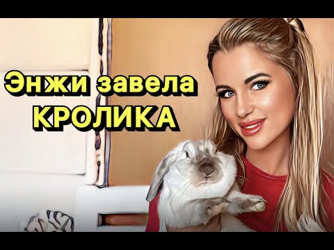 Видео: Энжи завела кролика