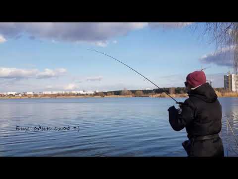 Видео: ОТЛИЧНАЯ РАЗДАЧА ОКУНЯ. StreetFishing. Ловля на ОТВОДНОЙ ПОВОДОК - лучшая оснастка на окуня