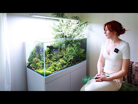 Видео: Разграблено: разбираем мой самый большой аквариум, часть 1