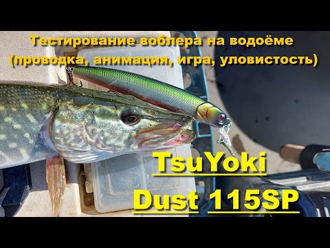 Видео: TsuYoki Dust 115SP - тестирование воблера на водоёме (проводка, анимация, игра, уловистость)