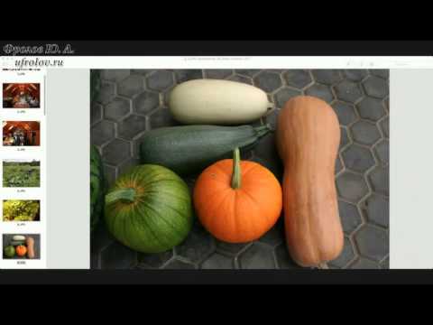 Видео: Вебинар Фролова Ю.А. по Основам органического земледелия - Как воссоздать живую и здоровую Почву .!