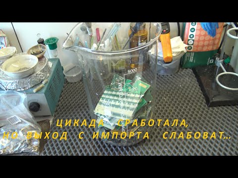 Видео: Цикада  сработала, но выход с импорта  слабоват!