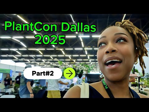 Видео: 🌿 PlantCon Dallas 2025 | Часть 2 🌿 Эти цены были нереальными!
