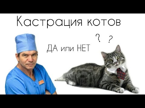 Видео: КАСТРАЦИЯ//Да или Нет
