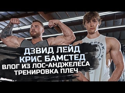 Видео: ДЭВИД ЛЕЙД и КРИС БАМСТЕД. Влог из Лос-Анджелеса / Тренировка плеч