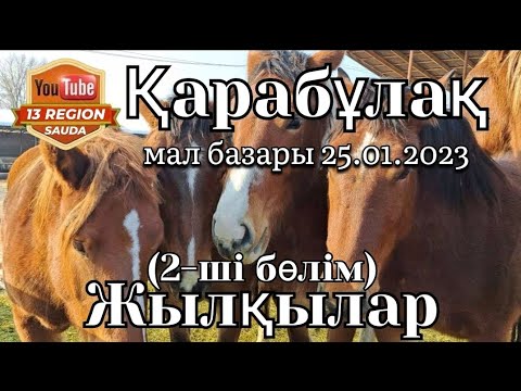 Видео: Қарабұлақ жылқы базары 2-ші бөлім