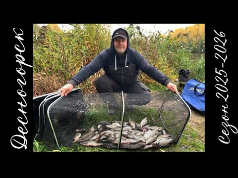 Видео: Открытие зимнего фидерного сезона в Десногорске