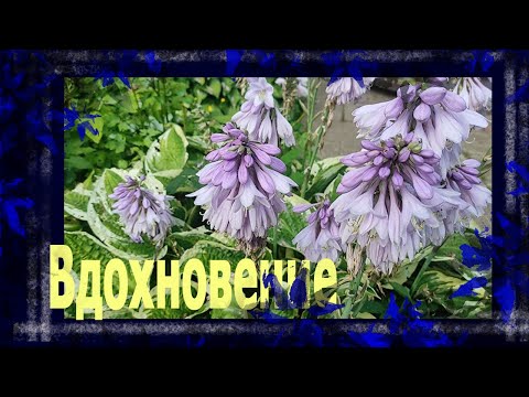 Видео: Что нас вдохновляет?..  #болталкаподвязание