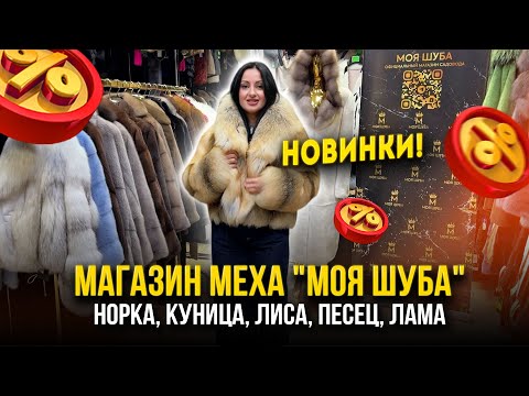 Видео: МАГАЗИН МЕХА "МОЯ ШУБА" 🎀НОВИНКИ🔥 Норка, Куница, Лиса, Песец, Лама 💖5. А-17 Рынок Садовод Москва