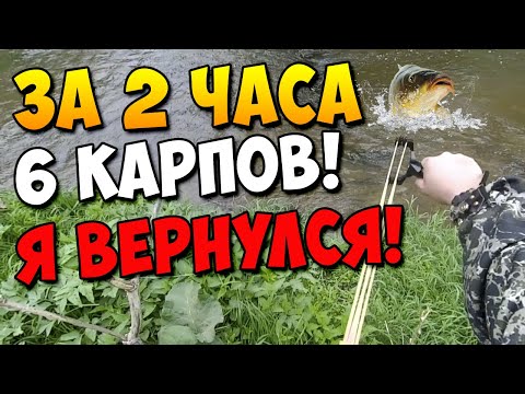 Видео: Новая рогатка для охоты в действии | 6 Карпов за пару часов! #11