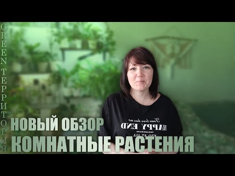 Видео: ОБЗОР НА МОЙ УГОЛОК!