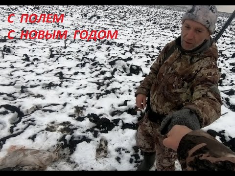 Видео: Охота на зайца. Последний заяц 23 года