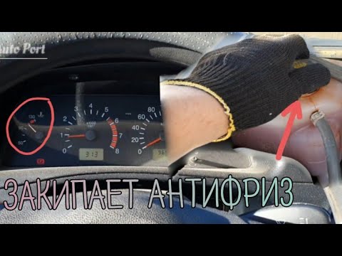 Видео: Жесть на СТО или будни автомехаников #124.Скрутить пробег-ЛЕГКО!Не до отдыха в отпуске.Старичок жив.