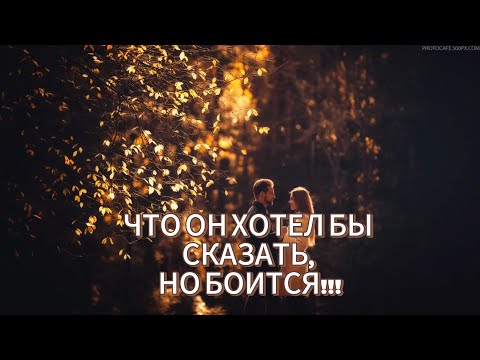 Видео: ЧТО ОН ХОТЕЛ БЫ СКАЗАТЬ, НО БОИТСЯ!!!