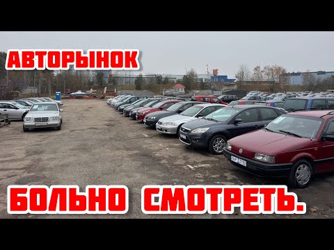 Видео: АВТОРЫНОК На эти цены БОЛЬНО СМОТРЕТЬ. Ноябрь 2025😱
