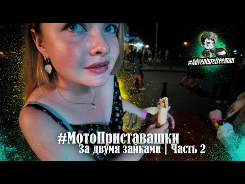 Видео: МотоПриставашки | За двумя зайками! Часть 2 | Минск 2024