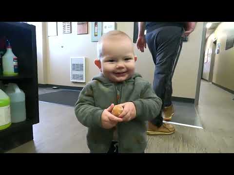 Видео: Здаем экзамен