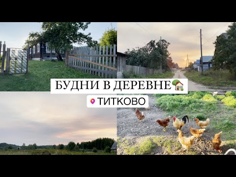 Видео: VLOG Жизнь в деревне | Влог Будни в деревне | Деревенская жизнь