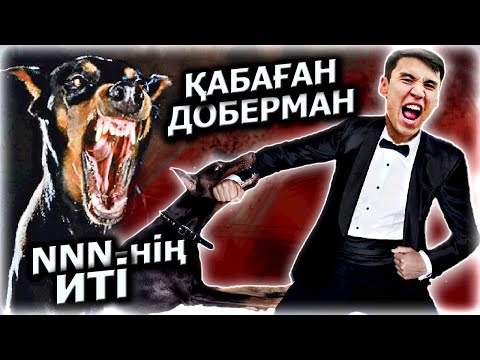 Видео: АБАЙЛА! ННН ИТі Доберман / Бір жеріңді тістеп жұлып алады