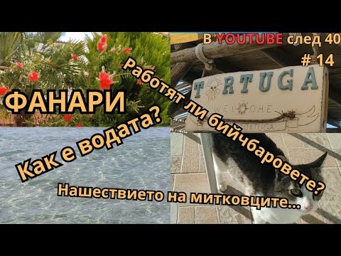 Видео: Влог от с. Фанари, Гърция - началото на сезон 2025 г.