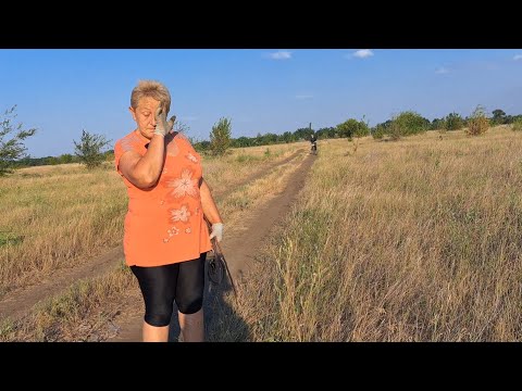 Видео: Нас подвели, а мы хотели купить корма