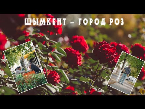 Видео: Гуляю по Шымкенту