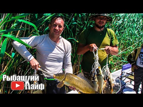 Видео: РЫБАЛКА на САЗАНА. БАЛХАШ Июнь 2019, ОТДЫХ просто Сказка!!!!