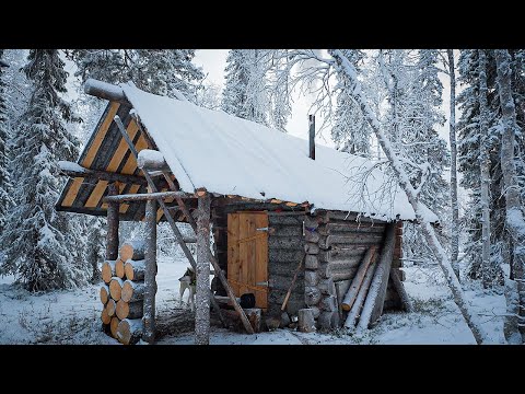 Видео: ЖИЗНЬ В ТАЙГЕ. ИЩУ НОВОГОДНЕГО ЛОСЯ. ЕМ СУП ИЗ ГЛУХАРЯ, ГСМ И РАССТАВЛЯЮ ЛОВУШКИ.