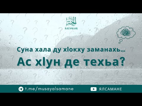 Видео: "Суна хала ду хlокху заманахь... Ас хlун де техьа?" | Муса Ялсамане