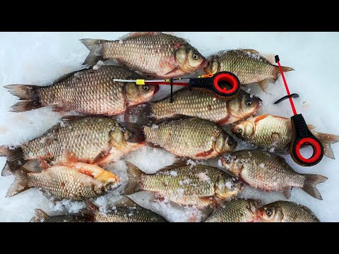 Видео: ПЕРВЫЕ КАРАСЯМБЫ 2023! рыбалка на карася ловля карася на удочку и поплавок