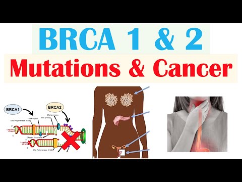 Видео: Мутации BRCA1 и BRCA2 и рак (типы рака и кто подвержен наибольшему риску)