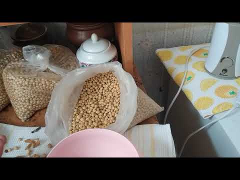 Видео: Как распознать натуральные соевые бобы и трансгенные.