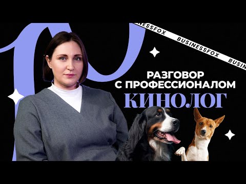 Видео: Сколько времени нужно, чтобы собака выучила команды? И что еще нужно знать об этих животных?