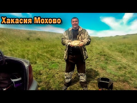 Видео: РЫБАЛКА В ХАКАСИИ. МОХОВО #рыбалка удалась #сазаны отрывают крючки