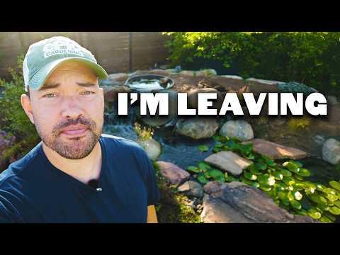 Видео: Я, возможно, покину усадьбу... 🏡