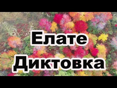 Видео: Елате - Диктовка (2 клас)